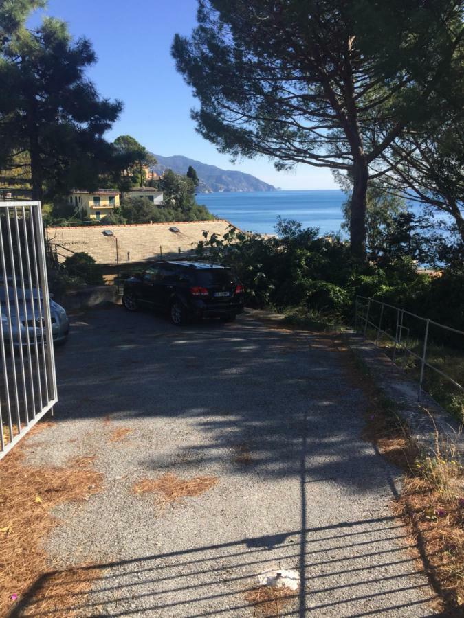 蒙特罗索阿尔马雷Il Nido Della Gazza公寓 外观 照片